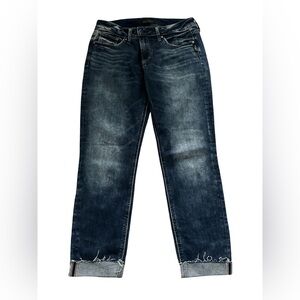 Silver Jeans Elyse Skinny Sz 29